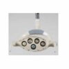 Dental LED Lamp 5 Holes Cream or White Color