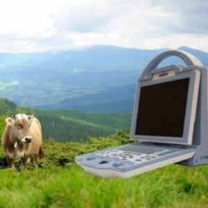 KX5600V Vet Ultrasound Machine