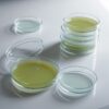 parafilm tape for petri dishes