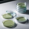 petri dishes