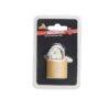 Padlock - Brass Plated - 32mm - 97031174