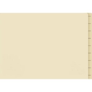 Lateral Document Files - Foolscap - Heavy Weight - 233gsm - Pack of 180 - FILLHW400