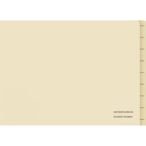 Lateral Document Files - Foolscap - Heavy Weight - 233gsm - A4 - Pack of 200 - FILLHW200