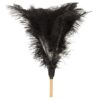 Feather Duster - Short - 460mm