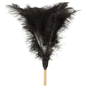 Feather Duster - Long -1840mm