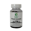 Shilajit Gummies (60)