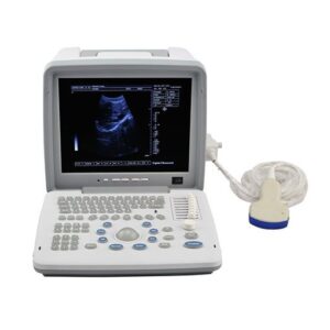 Portable LED screen ultrasound