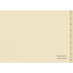 Lateral Document Files - Foolscap - Heavy Weight - 233gsm - A4 - Pack of 200 - FILLHW200