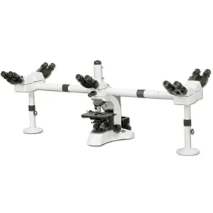 Microscope Multi-Head BS-2080MH10