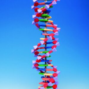 Protein Kit RNA-12 PS