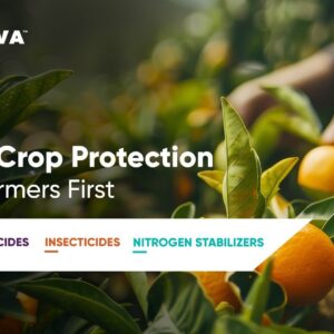 Insecticide Coragen