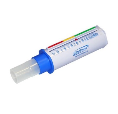 Thermometer Oritronic