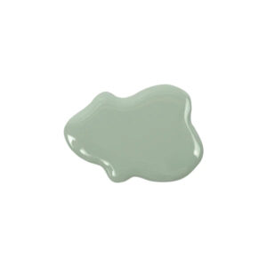 Paint Brush - 63mm - TOOB15