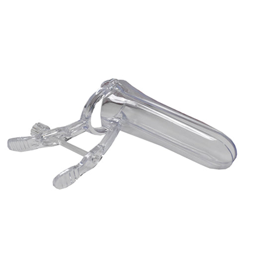 Wheelchair Steel Caregiver
