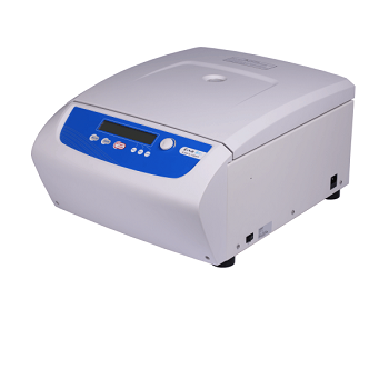 Pregnancy Back Support – Large