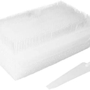 Ash Brace – Large