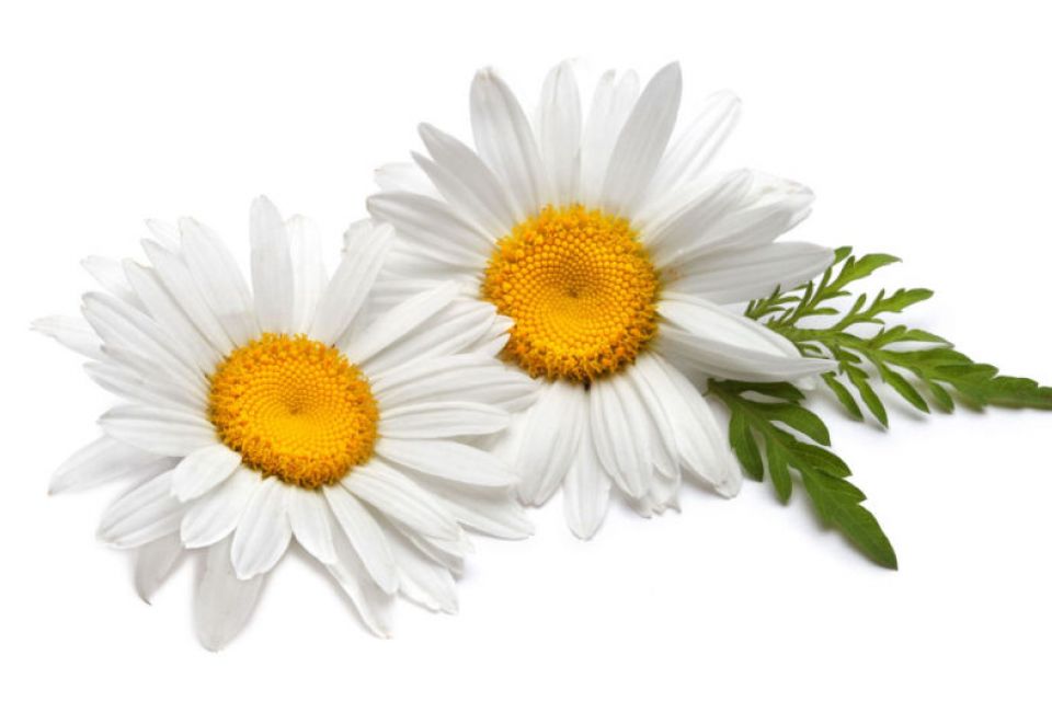 pressure ulcer dressing kit