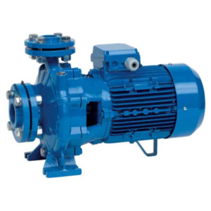Alternative view of Speroni Pump Centrifugal Flanged 50X32Mm 3Kw 400V